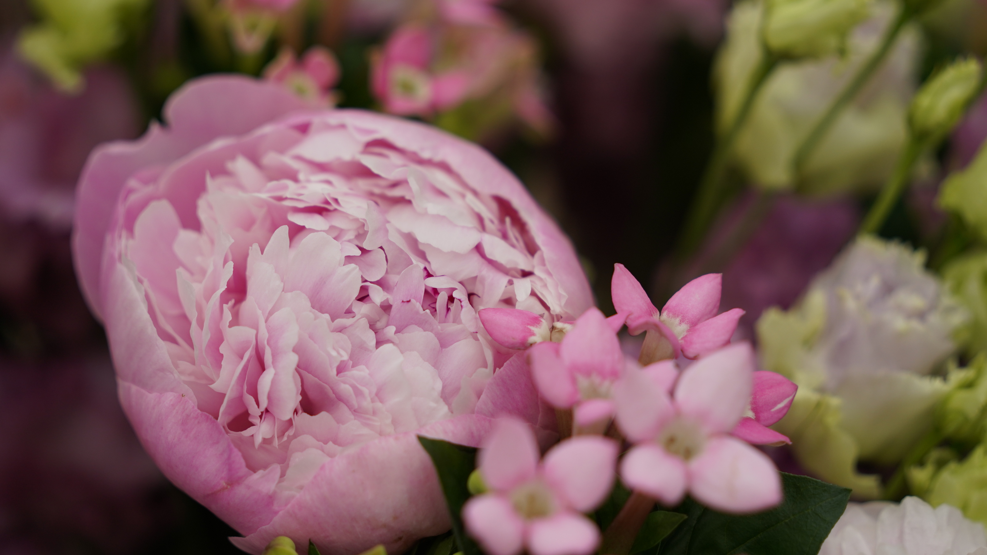Roze pioen en kleine roze bloemetjes in een boeket