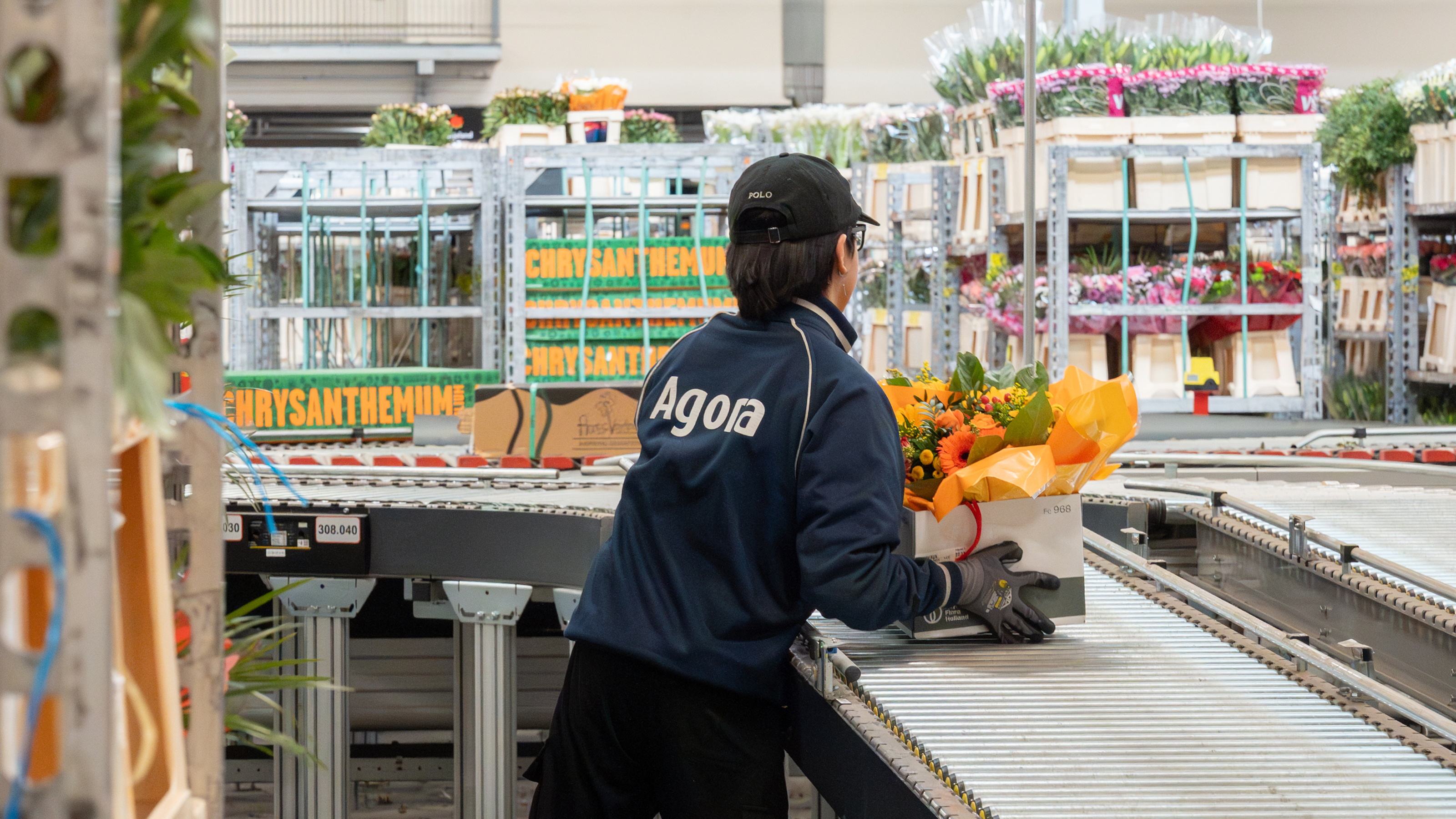 Medewerker in magazijn bij lopende band met trays planten onder kaslicht