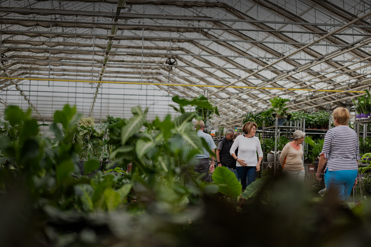 Mensen lopen door een kas tussen groene planten; man met camera op de voorgrond.