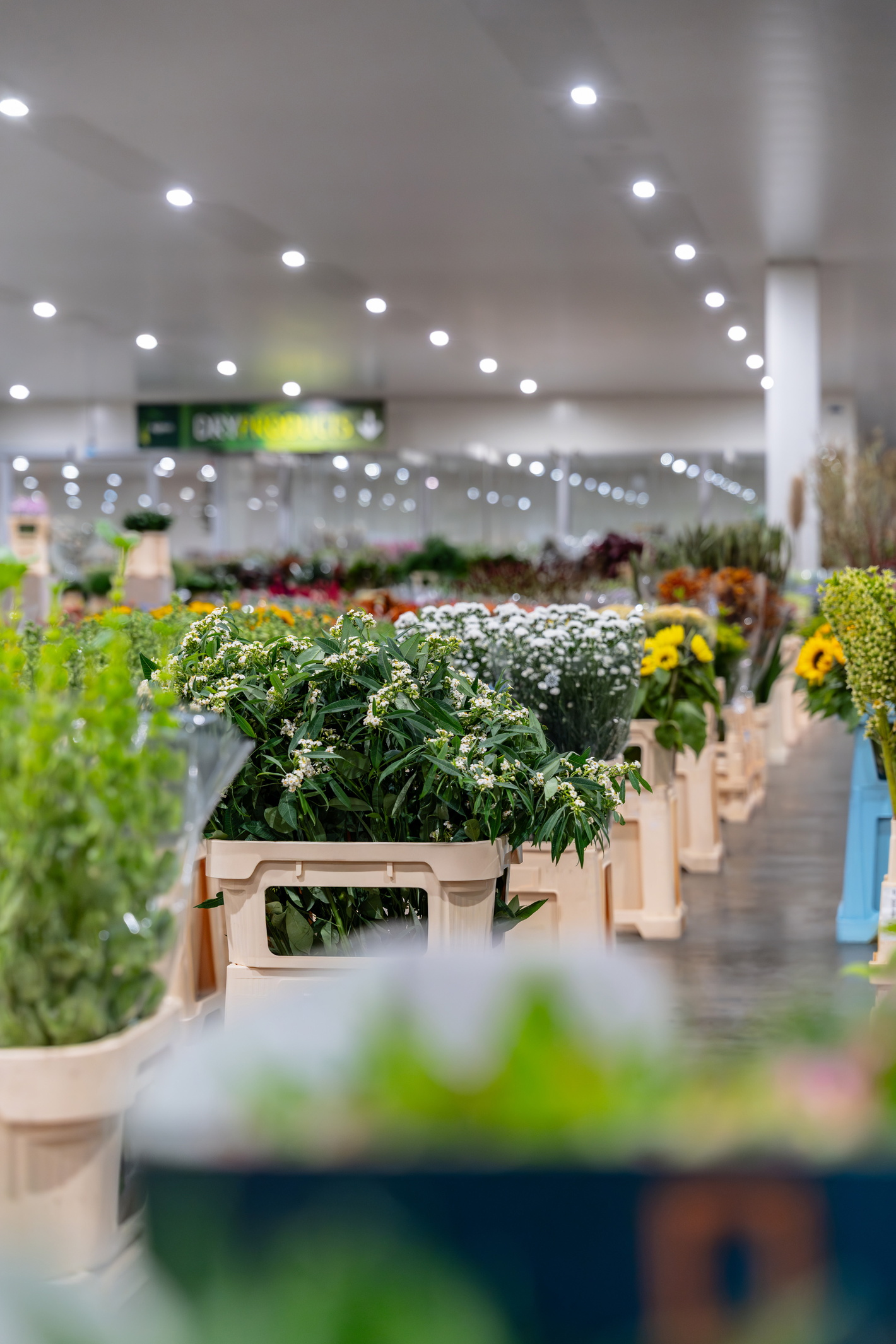 verse snijbloemen in de koelcel van de groothandel