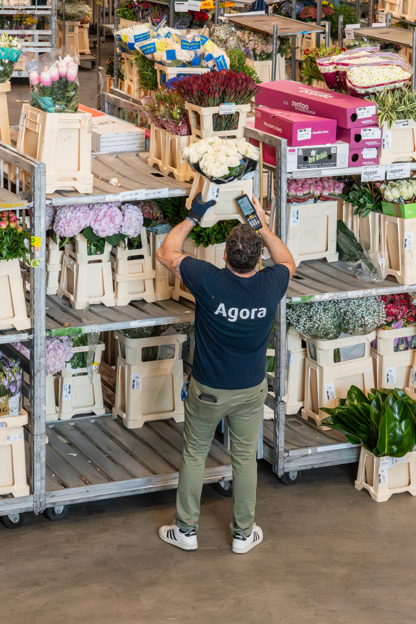 Man in an “Agora” shirt looks at stacks of antiques at a flea market in a warehouse.