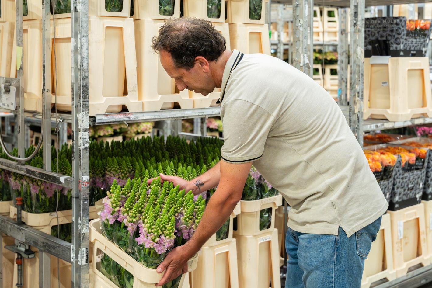 A quality inspector places a barrel of purple flowers on a cart in a distribution center.