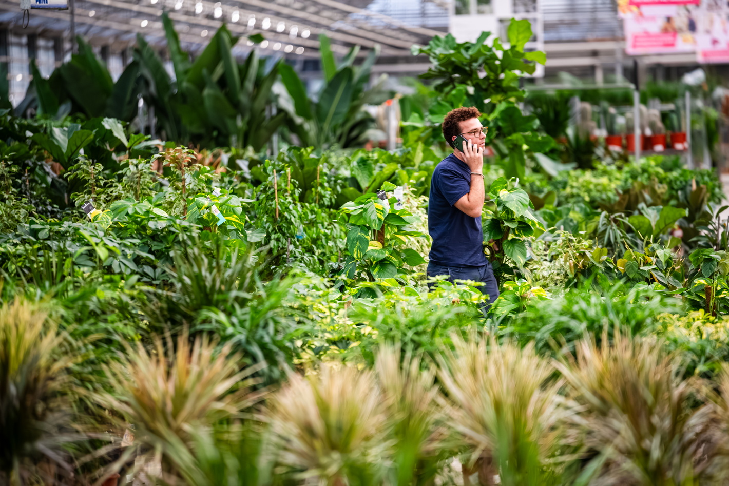 Vrouw loopt door weelderige tropische tuin met hoge planten en struiken
