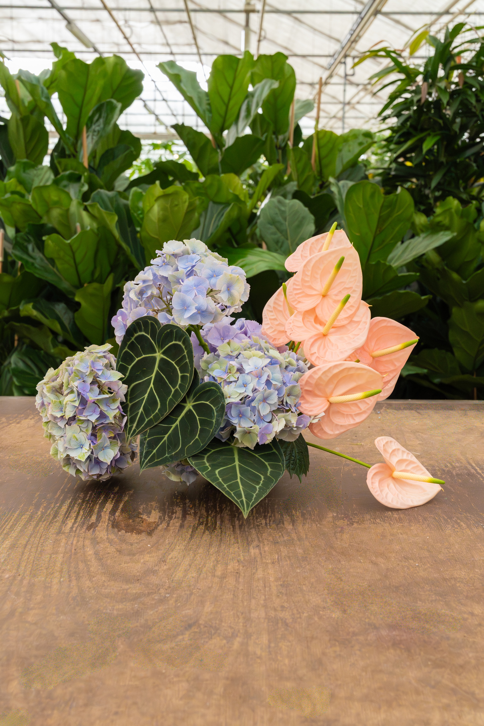 Boeket met hortensia's en roze anthurium op houten tafel, groene planten op achtergrond