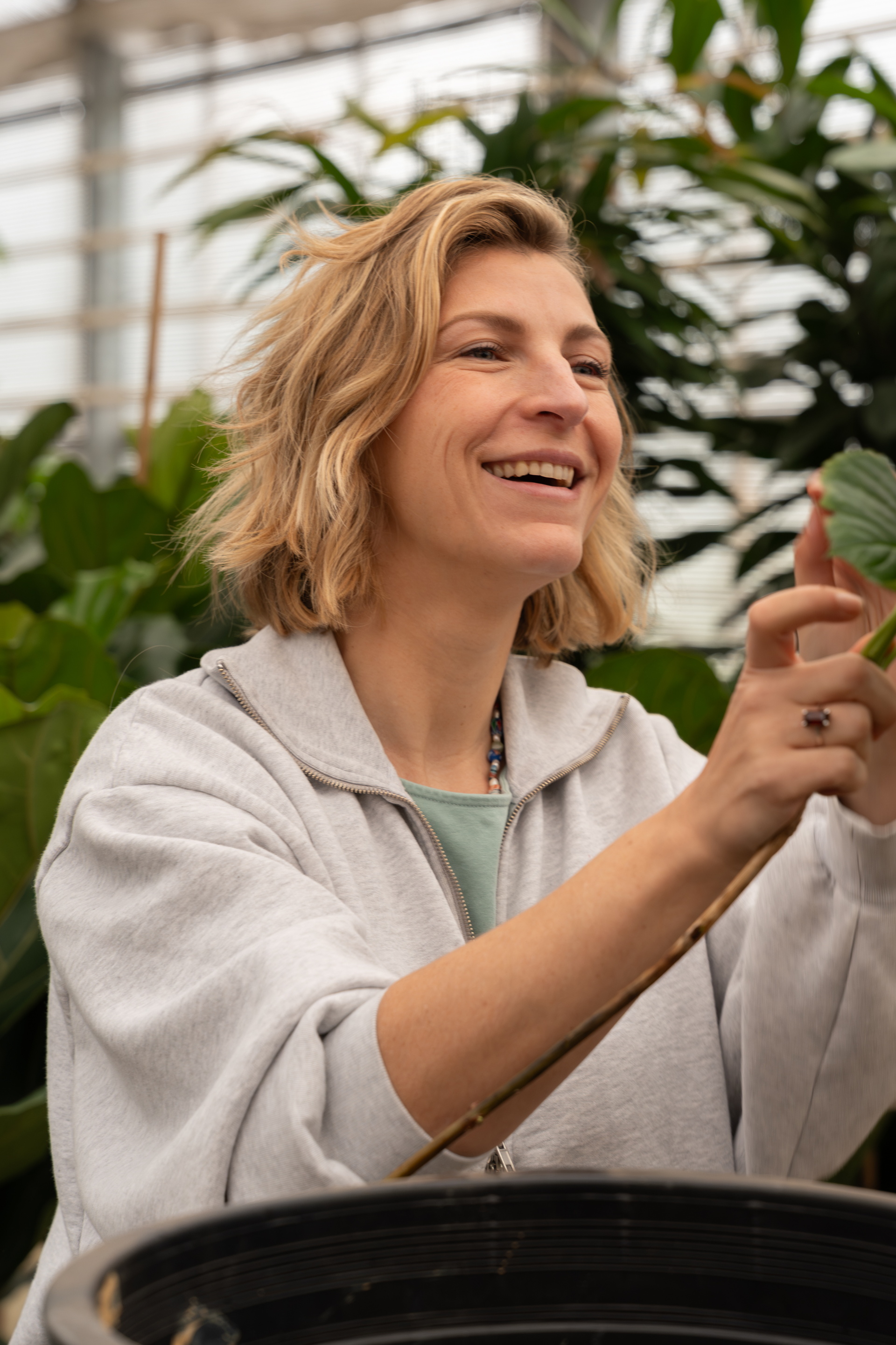 Lachende vrouw in grijze hoodie in kas, houdt een plant vast boven een pot.