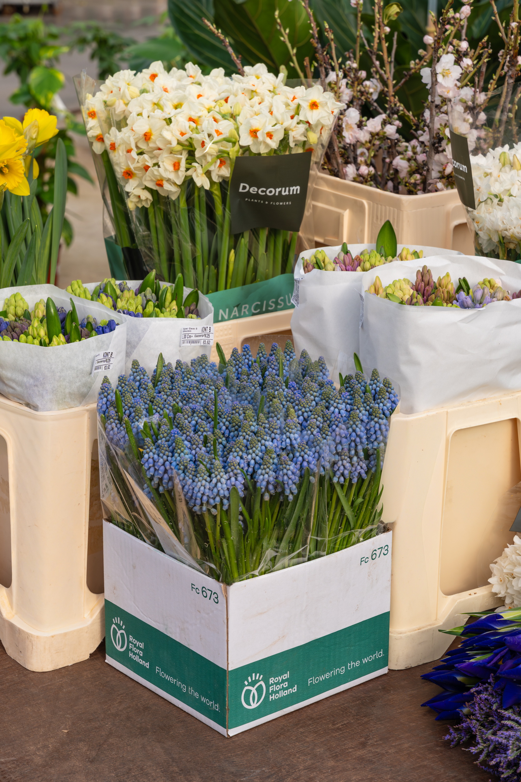 Kratten met blauwe en witte bloemen op een markt, met paarse bloemen op de grond