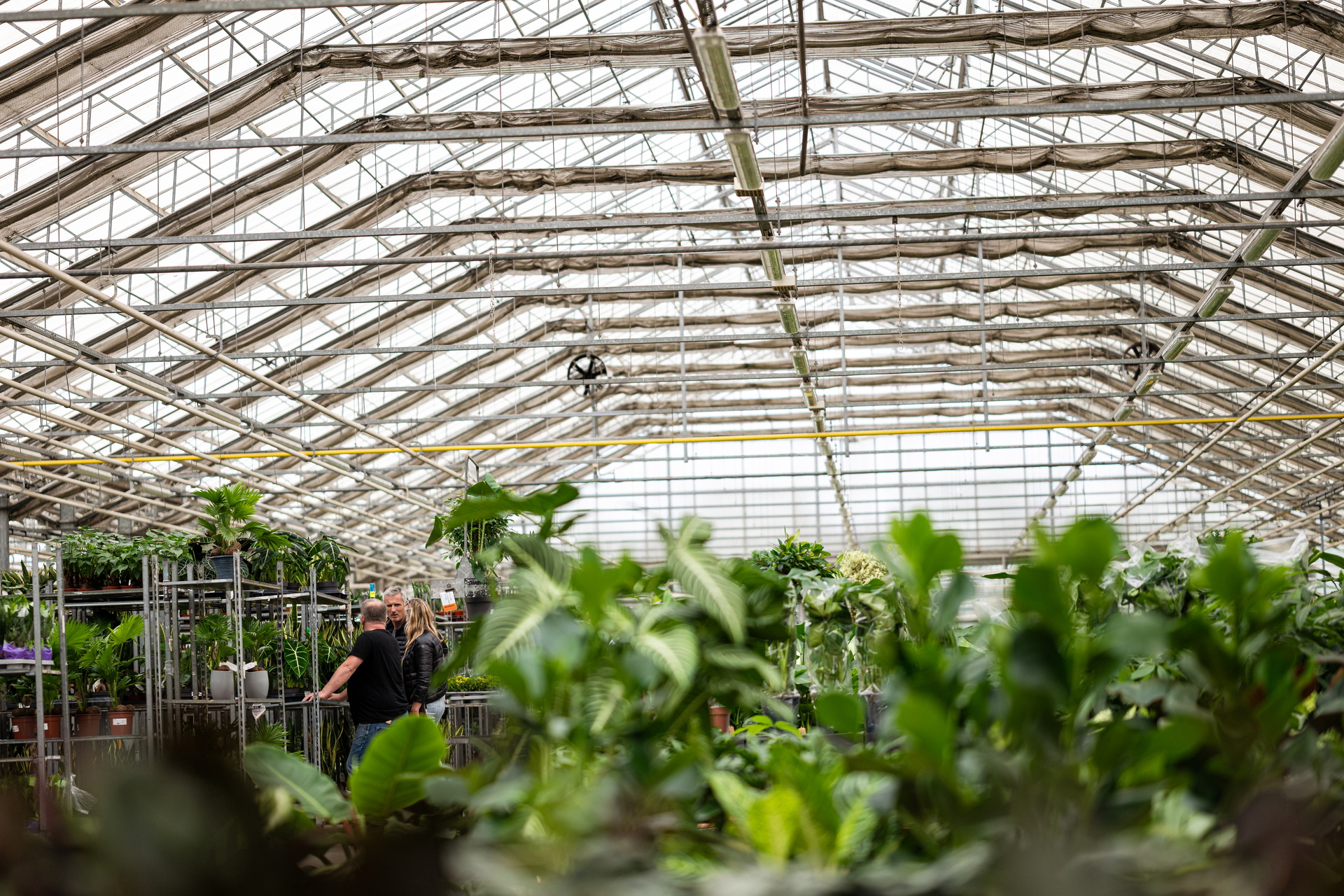 Twee mensen in een kas tussen groene planten onder een glazen dak