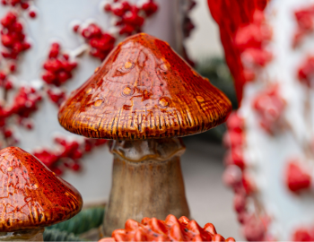Close-up foto van roodbruine paddenstoel met rode bes op wazige achtergrond