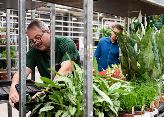 Tuincentrum met twee mannen die planten verzorgen tussen karren vol groen
