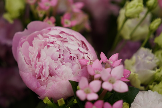 Roze pioenroos en kleine roze bloemetjes in een boeket, zachte achtergrond.