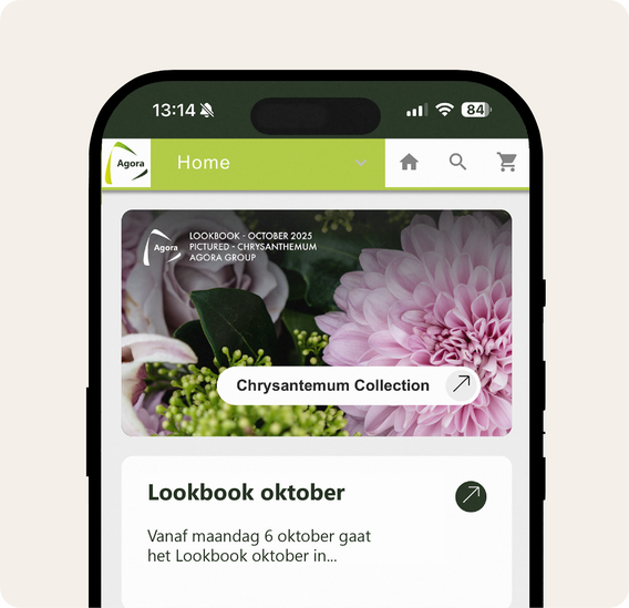 Smartphone met webpagina over Chrysanthemum Collection en lookbook oktober.