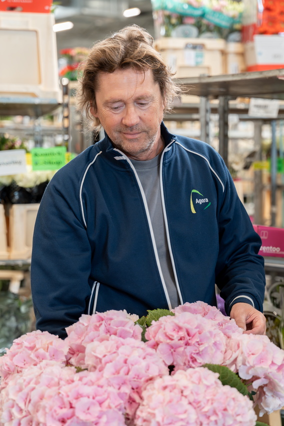 Man verkoopt roze hortensia's op een bloemenmarkt.