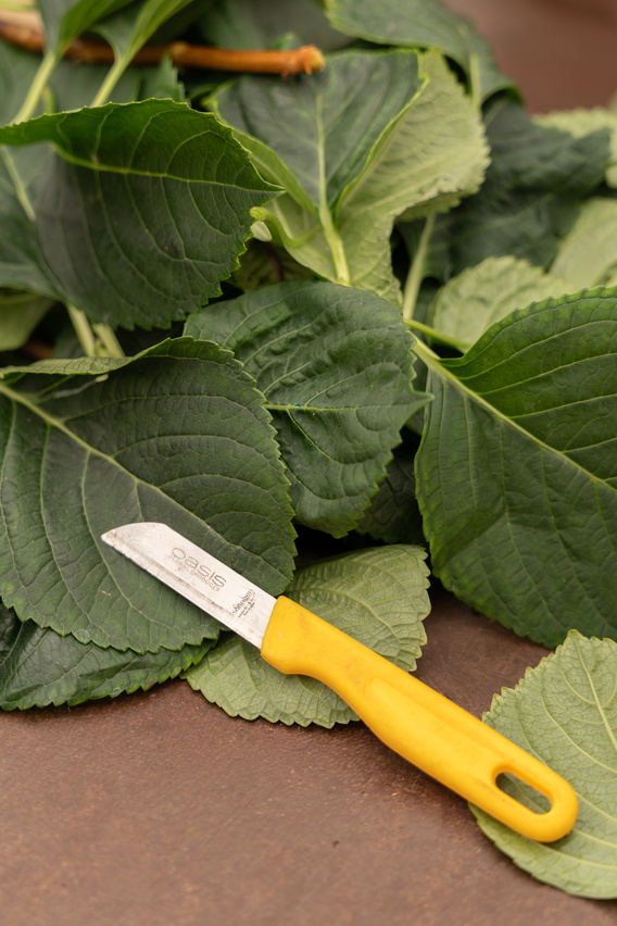 Geel mes op groene bladeren op een bruine ondergrond