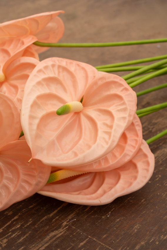 Roze anthuriumbloemen op houten ondergrond met groene stelen