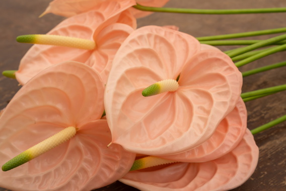 Roze calla-lelies op houten tafel, close-up