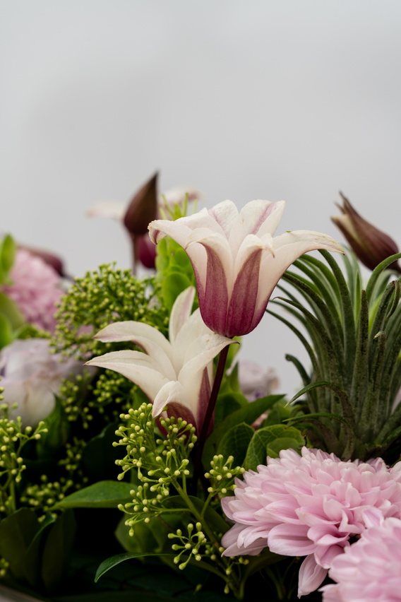 Boeket met roze en witte clematis, chrysanten en groen op grijze achtergrond