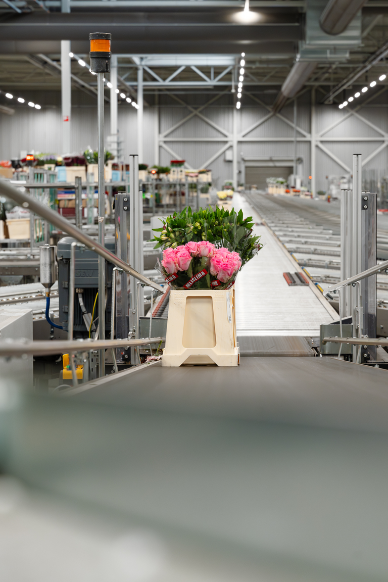 Bos bloemen in houten krat op lopende band in magazijnomgeving