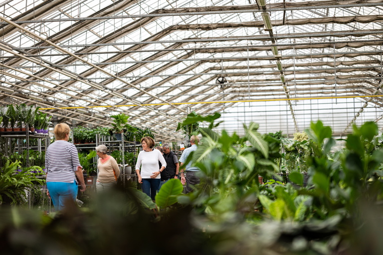 People walk through a greenhouse with rows of green plants under a glass roof