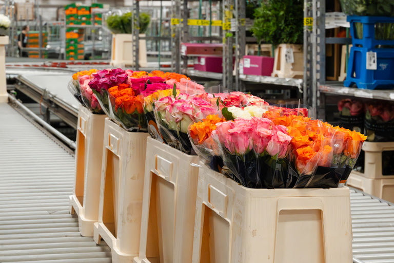 Rij houten bakken met kleurrijke boeketten in een tuincentrum.