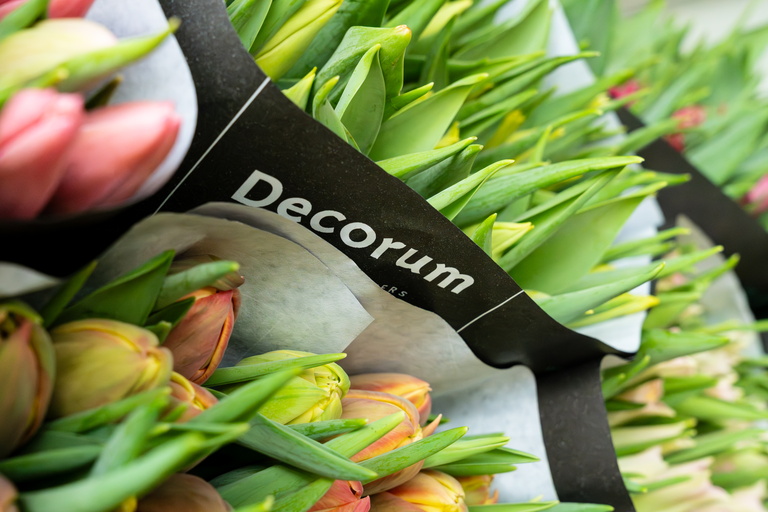 Close-up van planten met zwart label 'Decorum' in het groen