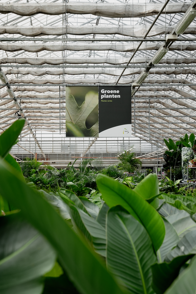 Kas met grote groene bladeren op de voorgrond en een hangend informatiebord