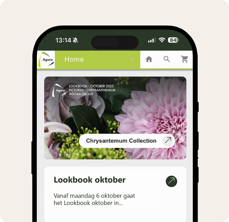 Smartphone met webpagina over Chrysanthemum Collection en lookbook oktober.