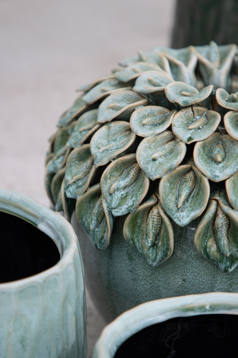 Close-up van vetplant met blauwgroene blaadjes naast twee potten