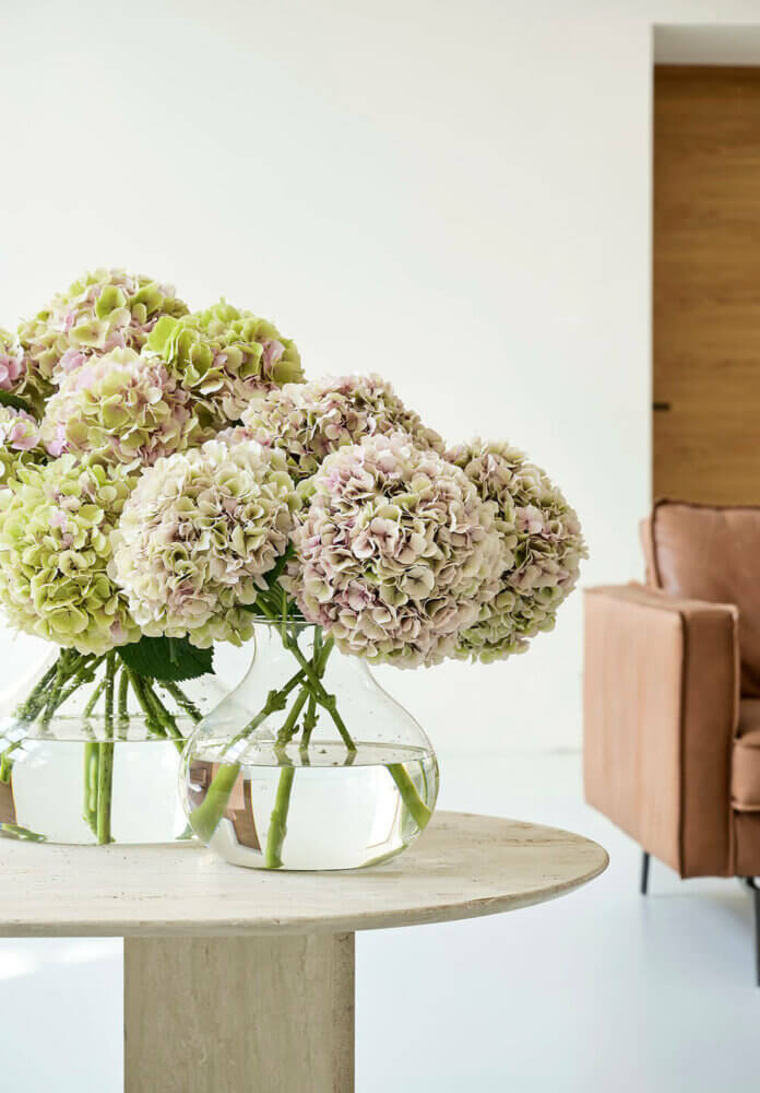 Image of Hortensia annabelle flower arrangement in vase