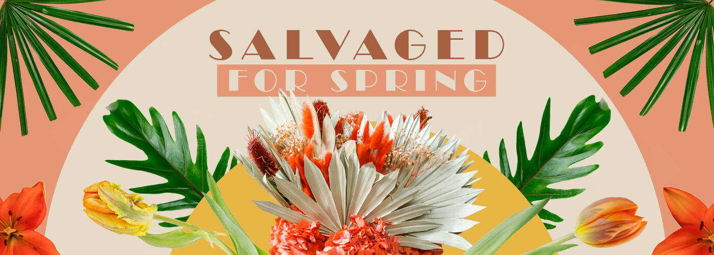 SALVAGED FOR SPRING