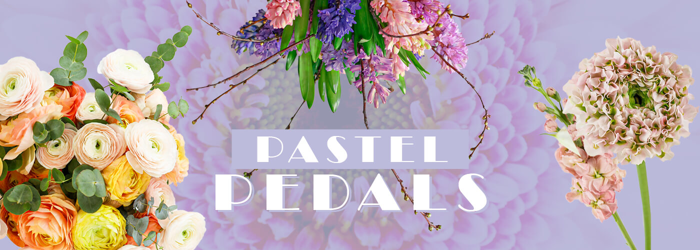 PASTEL PEDALS