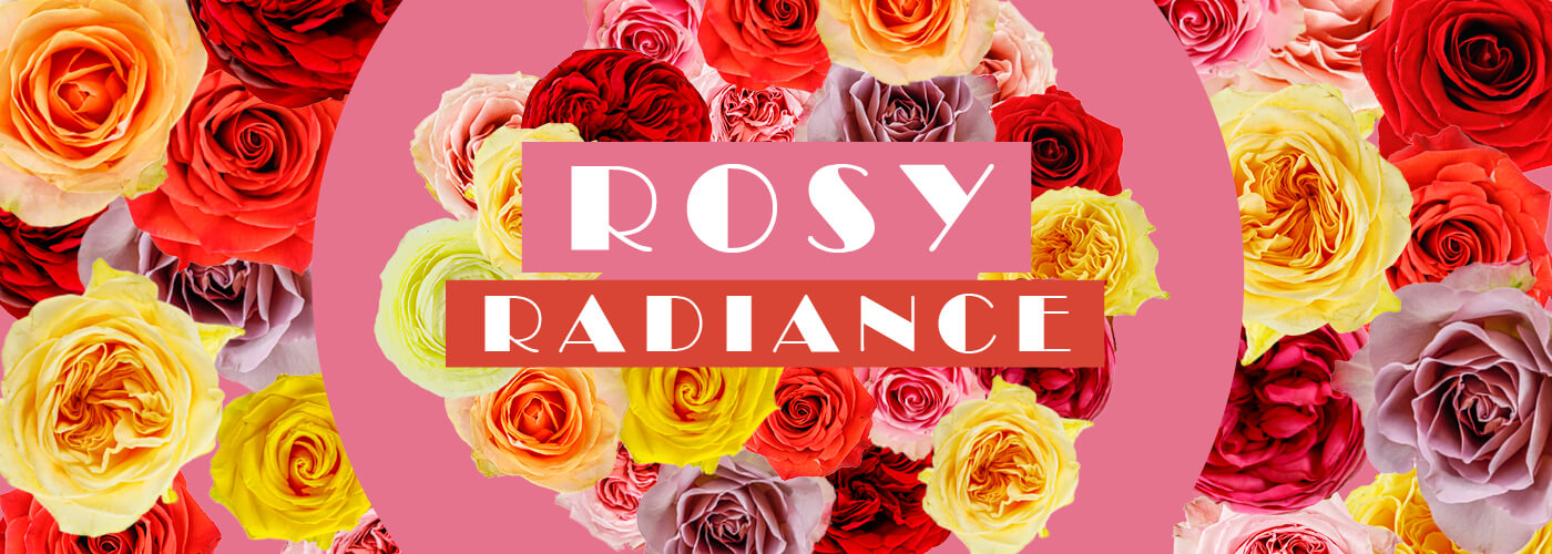 ROSY RADIANCE