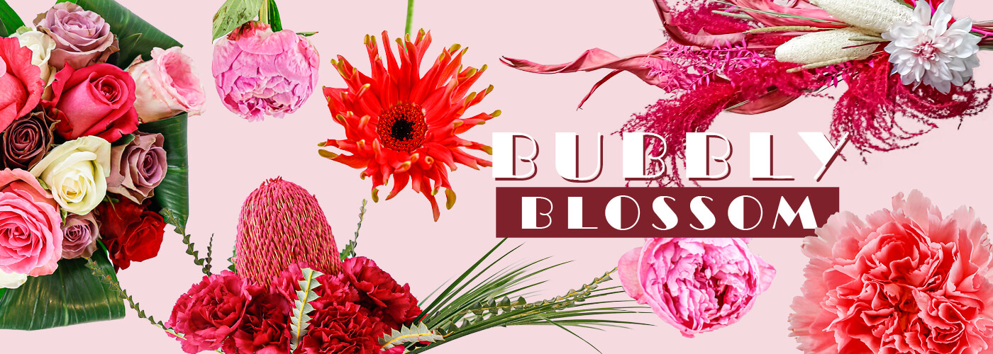 BUBBLY BLOSSOM