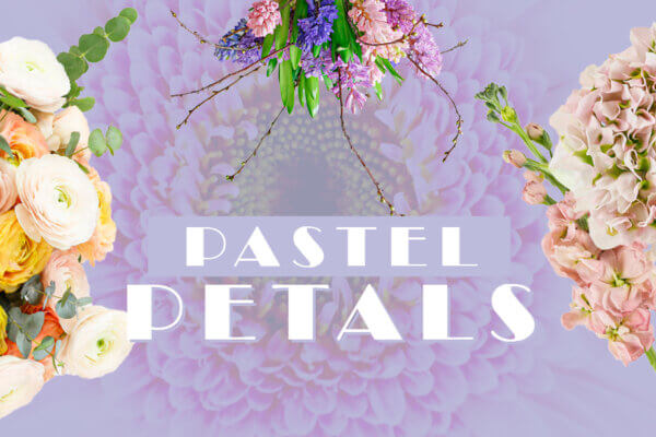 PASTEL PETALS