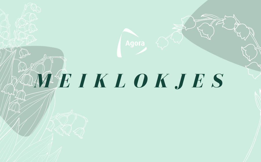 MEIKLOKJES