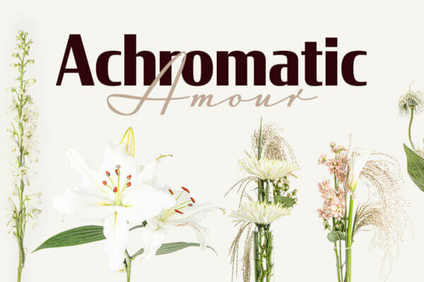 ACHROMTIC AMOUR