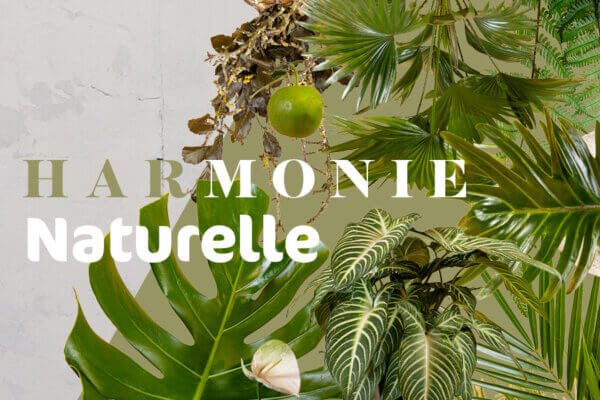 HARMONIE NATURELLE