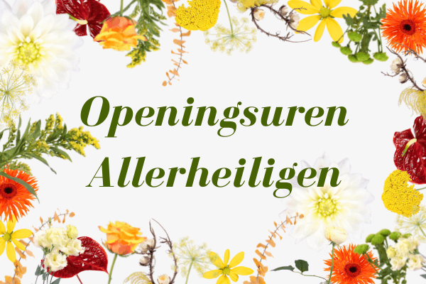 Openingsuren Allerheiligen Agora