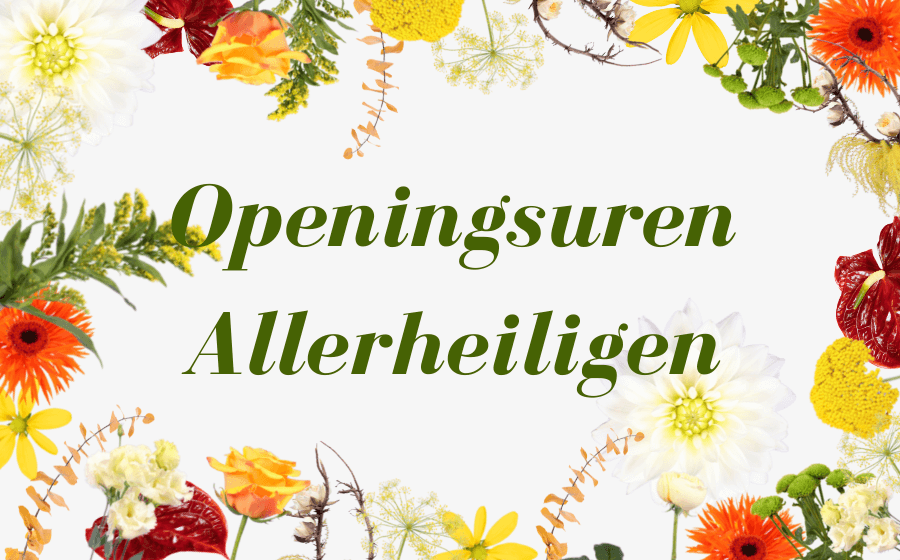 Openingsuren Allerheiligen Agora