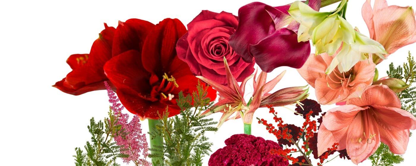 Positief Bijproduct gaan beslissen De groothandel voor bloemen en planten - Agora Group
