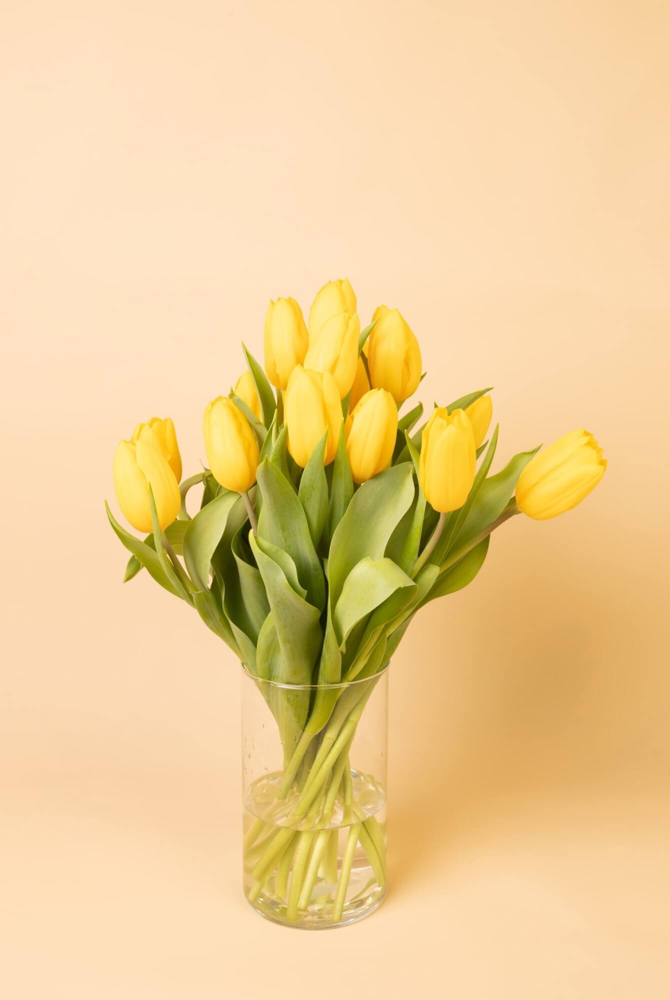 Tulpen geel