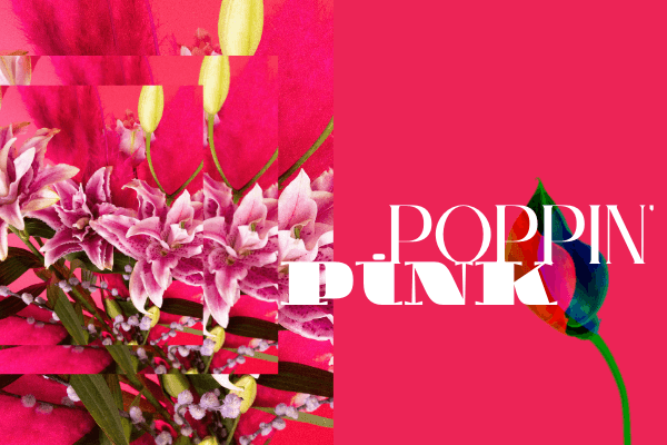 Poppin Pink Thumbnail