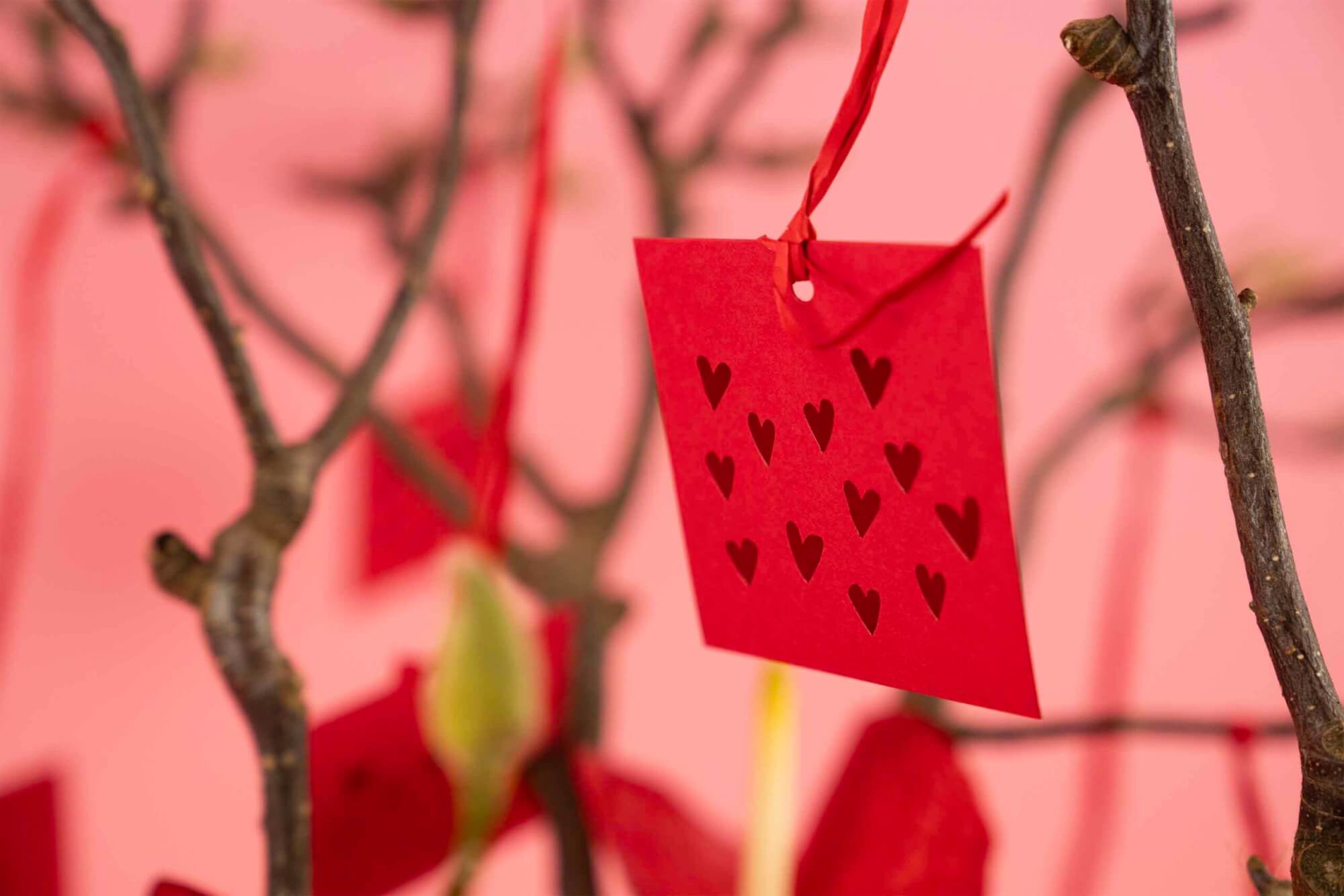 Valentijn Agora - Planten met hart accessoires