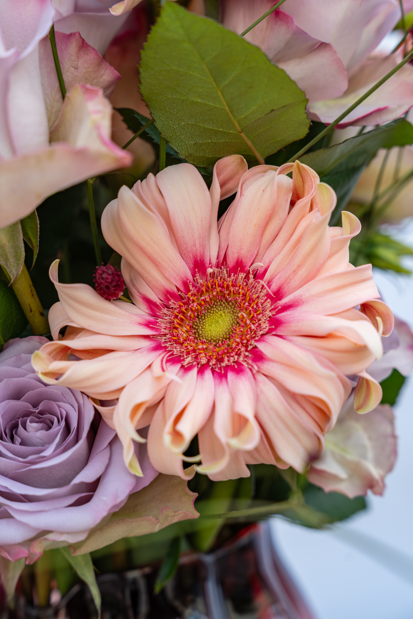 Vaascreatie met hoogte - Lookbook november Gerbera