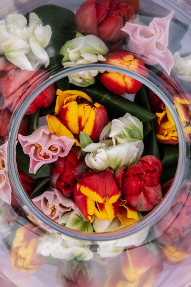 tulpen en zuiderse bloemen vormen de lookbook van januari