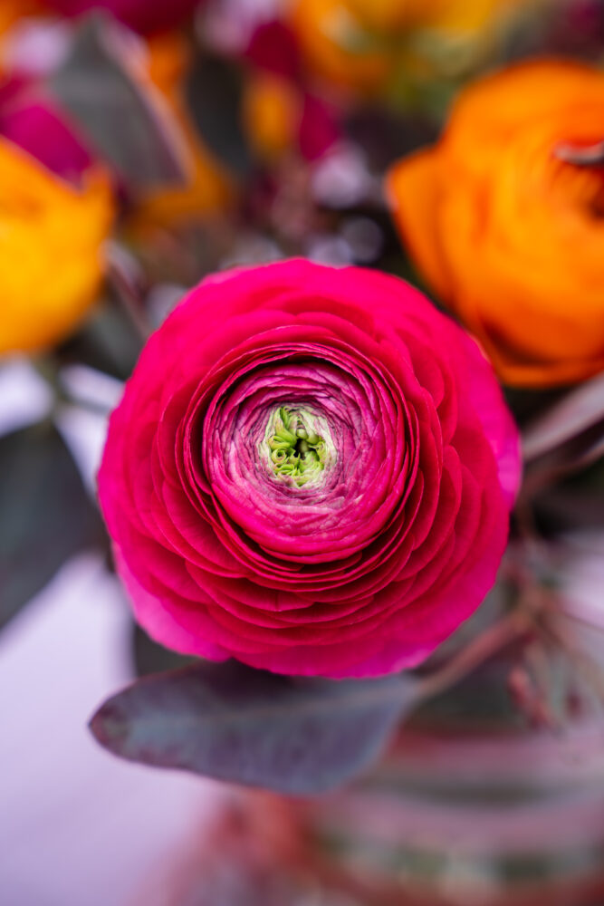 tulpen en zuiderse bloemen vormen de lookbook van januari