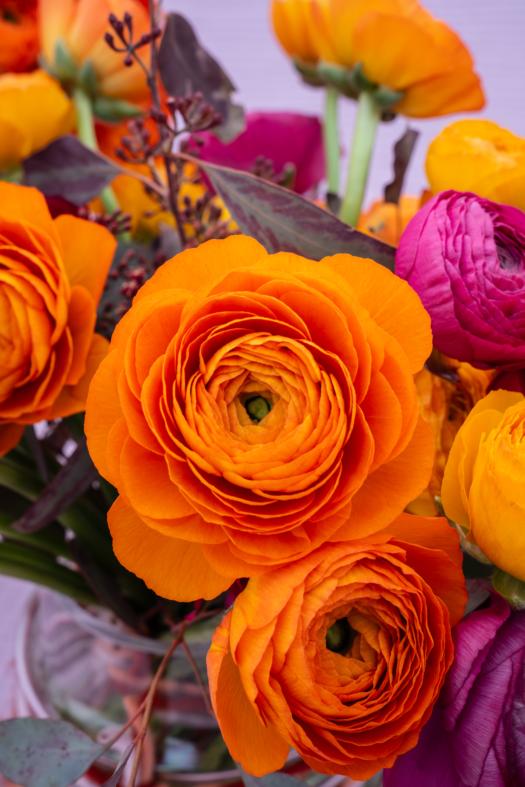tulpen en zuiderse bloemen vormen de lookbook van januari