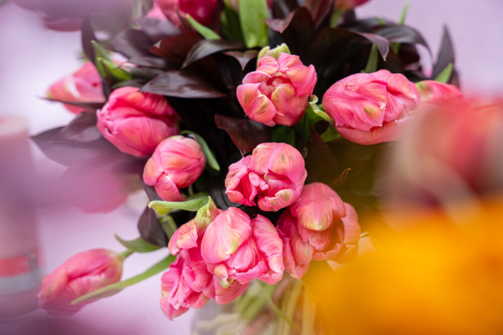 tulpen en zuiderse bloemen vormen de lookbook van januari