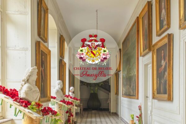 https://www.chateaudebeloeil.com/en_GB/event/amaryllis-exhibition-2026-21/register
